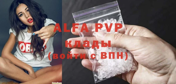 крисы Каменногорск