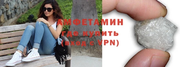 шишки Каменка
