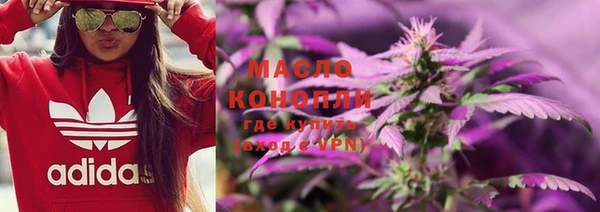 крисы Каменногорск