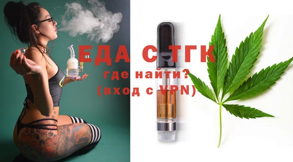 шишки Каменка