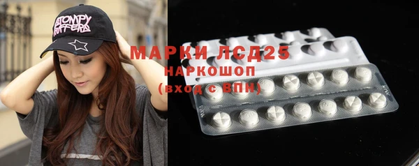крисы Каменногорск