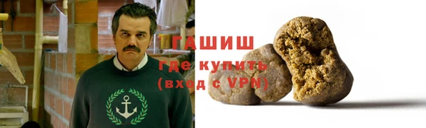 шишки Каменка