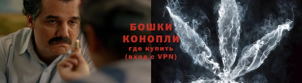 шишки Каменка