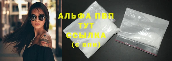 шишки Каменка