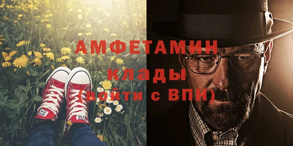 шишки Каменка