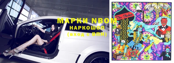 крисы Каменногорск