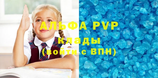 крисы Каменногорск