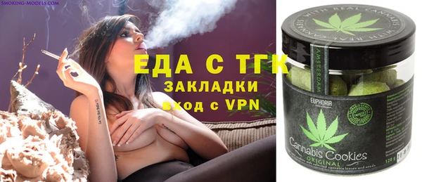 шишки Каменка