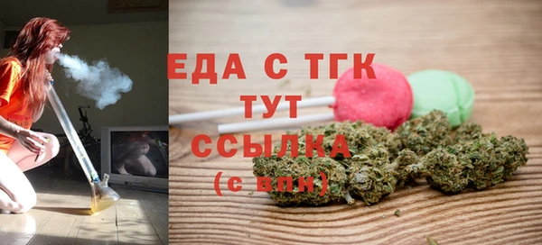 шишки Каменка