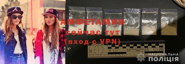 шишки Каменка